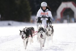 Lenzerheide 2013